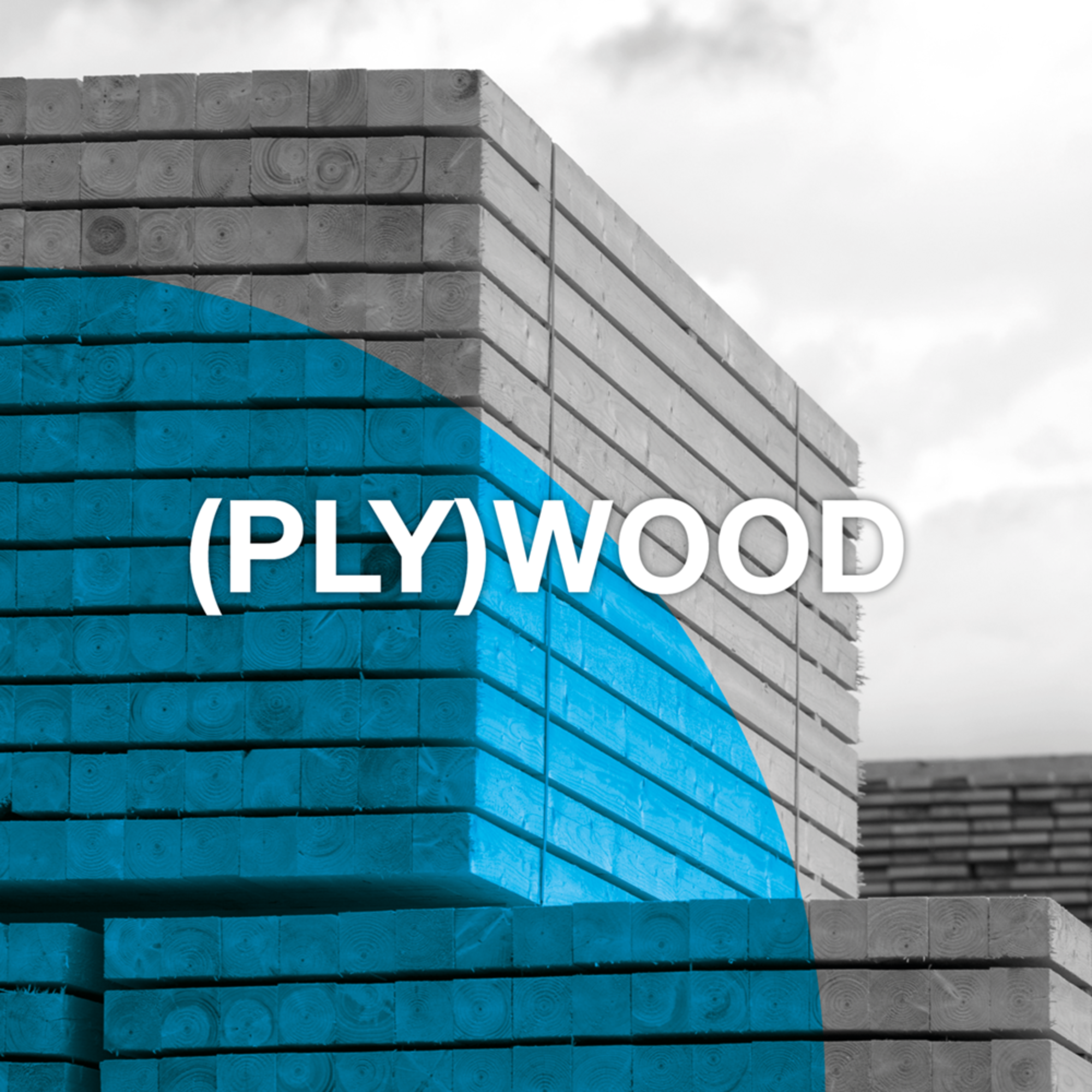 VML PLYWOOD 3